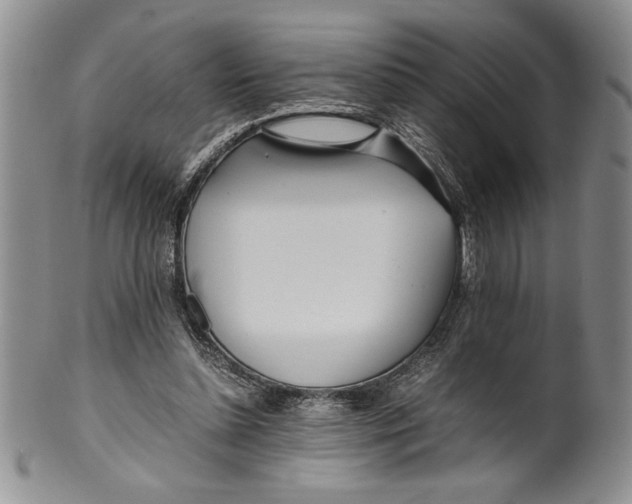 X0000099930348200806131408