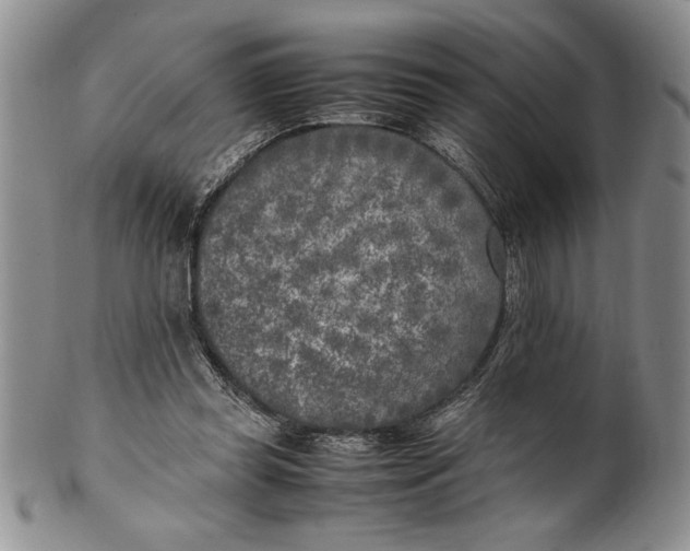 X0000099930349200806131408