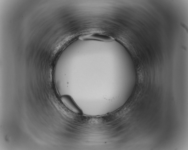 X0000099930350200806131408