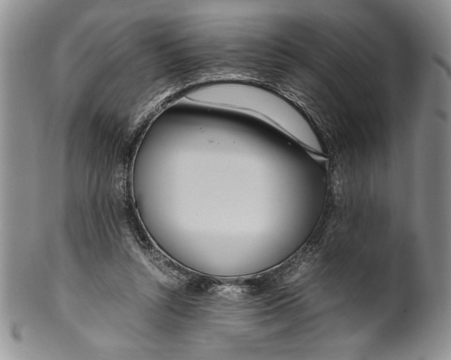 X0000099930352200806131408