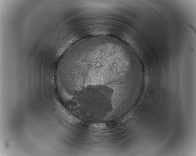 X0000099930353200806131408