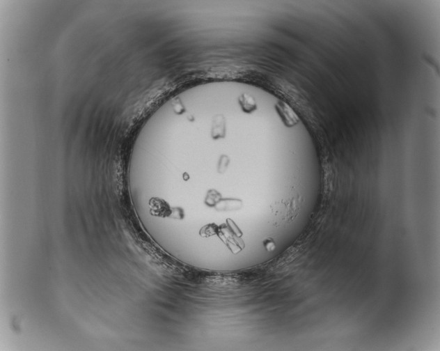 X0000099930354200806131408