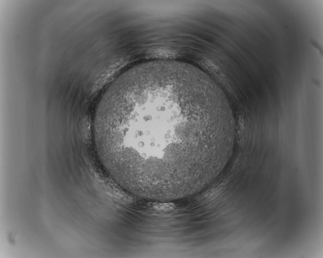 X0000099930355200806131408