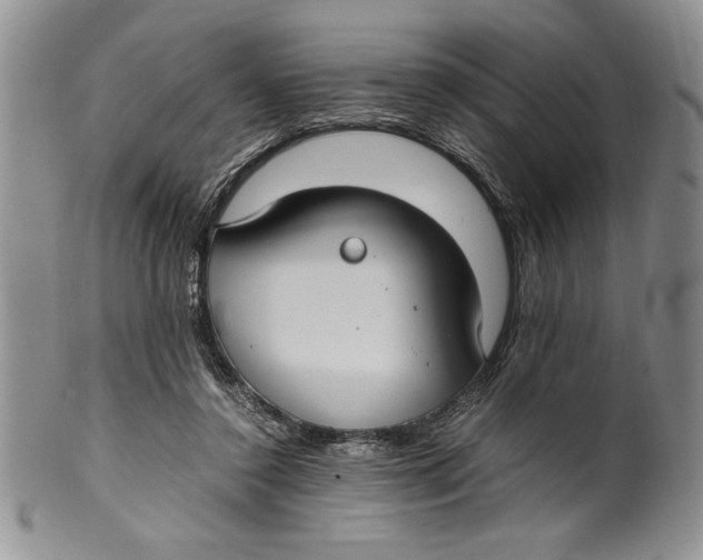 X0000099930356200806131408