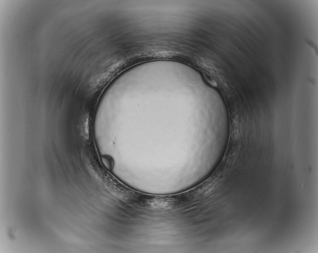 X0000099930358200806131408