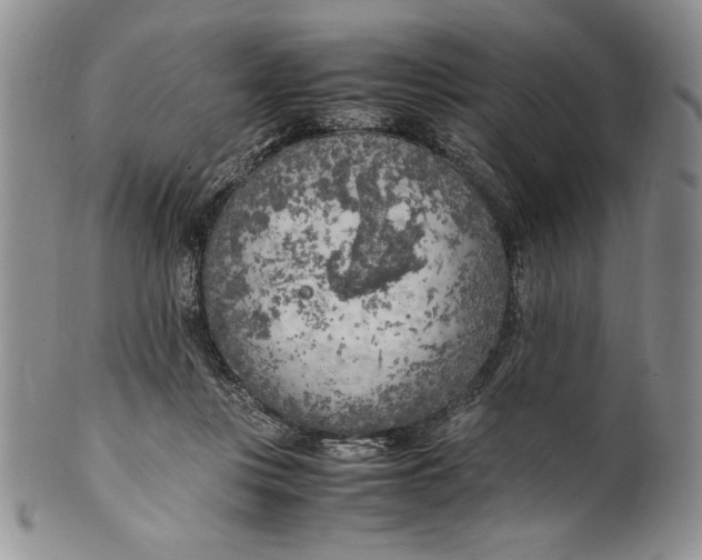 X0000099930359200806131408