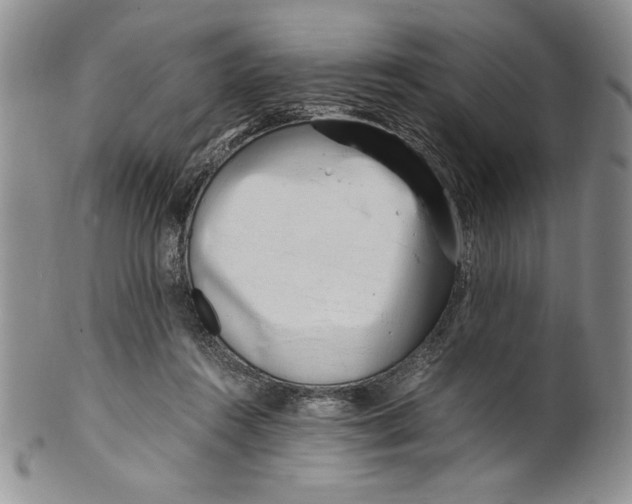 X0000099930360200806131408