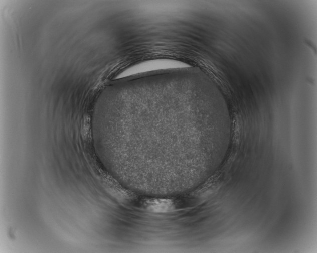 X0000099930361200806131408