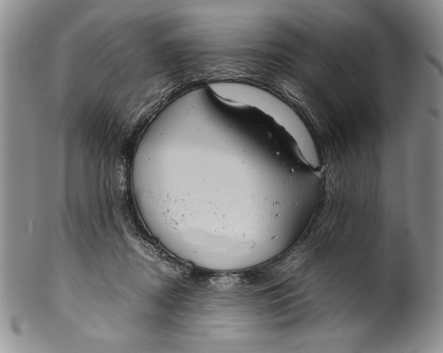 X0000099930362200806131408