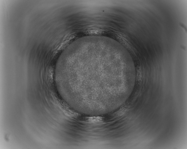 X0000099930363200806131408