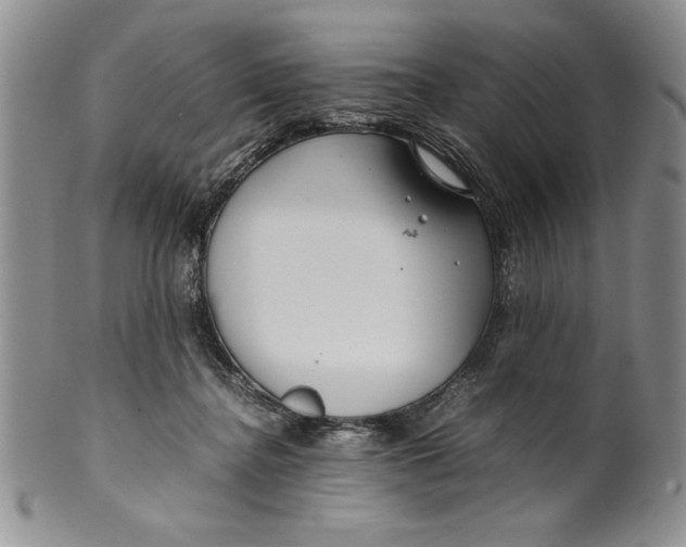 X0000099930364200806131408