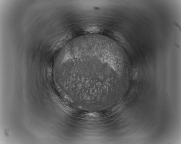 X0000099930365200806131408