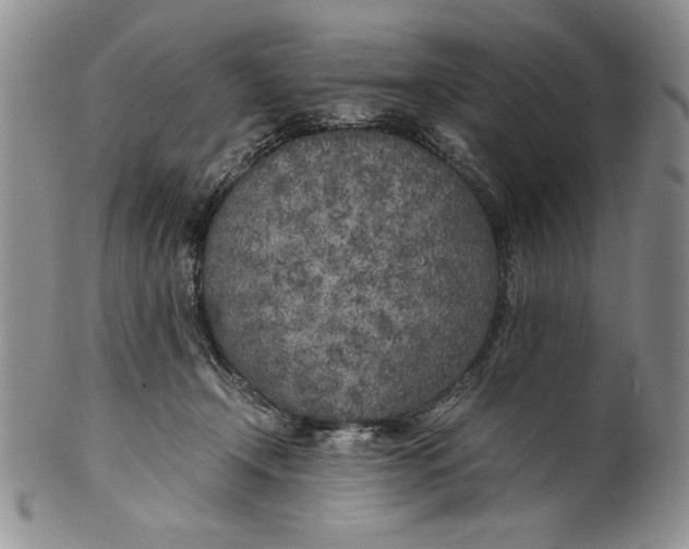 X0000099930366200806131408