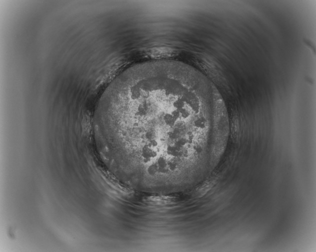 X0000099930367200806131408