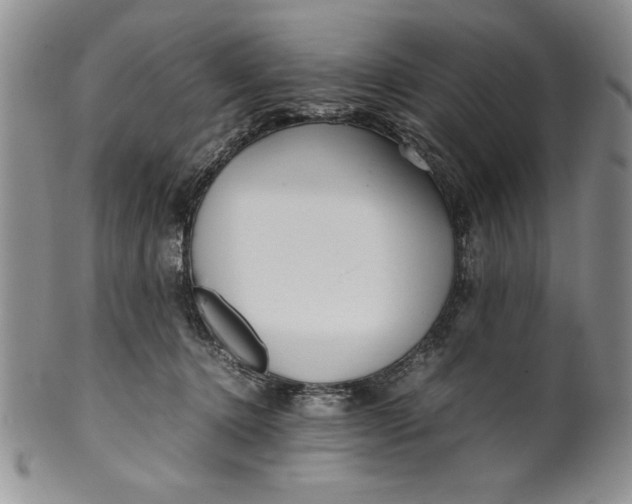 X0000099930368200806131408