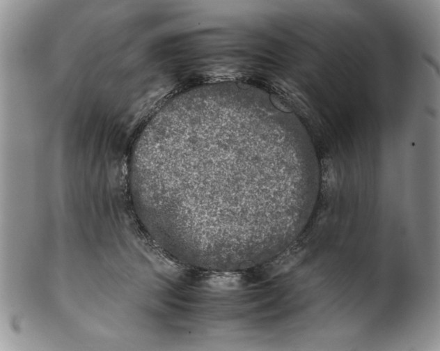 X0000099930369200806131408