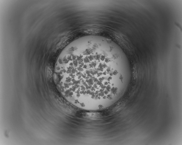 X0000099930371200806131408