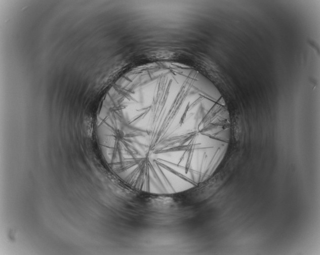 X0000099930374200806131408