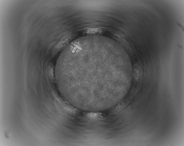 X0000099930375200806131408