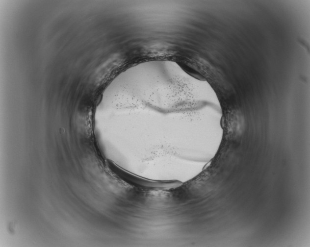 X0000099930376200806131408