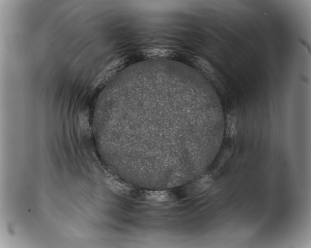 X0000099930377200806131408