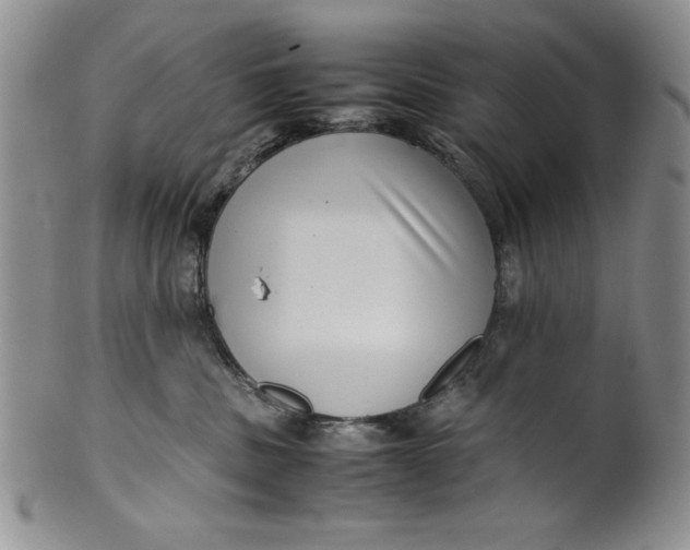 X0000099930379200806131408