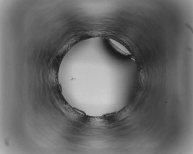 X0000099930380200806131408