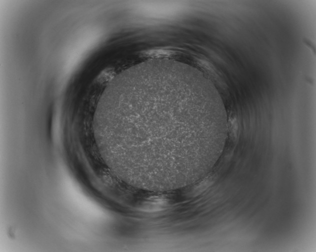 X0000099930381200806131408