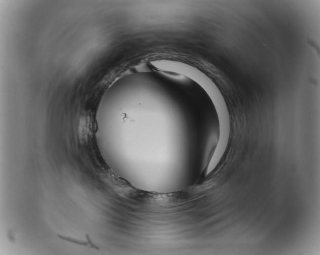 X0000099930382200806131408