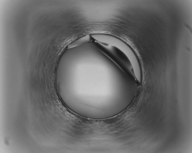 X0000099930385200806131407