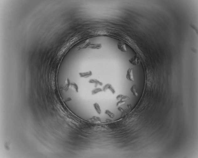 X0000099930386200806131407