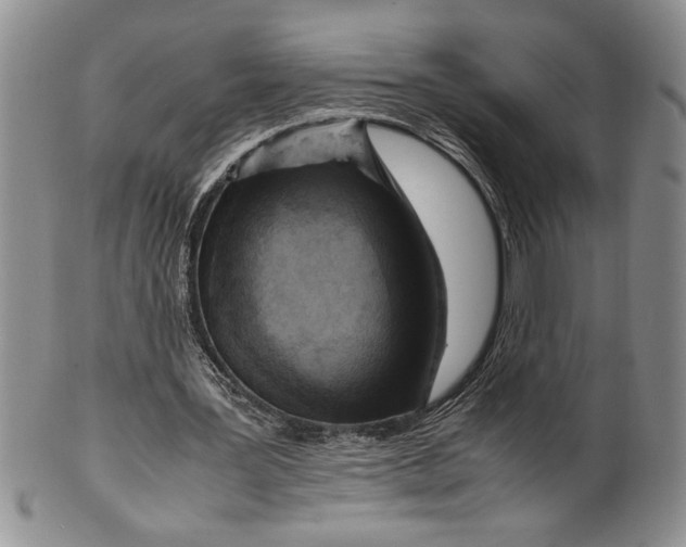 X0000099930387200806131407