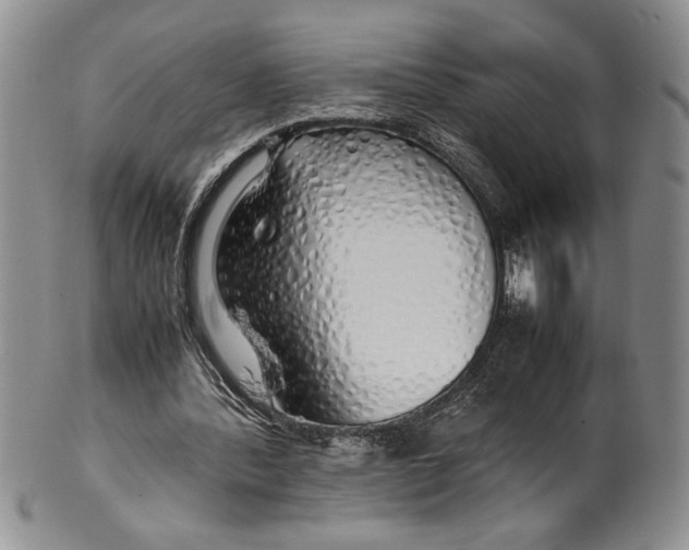 X0000099930388200806131407