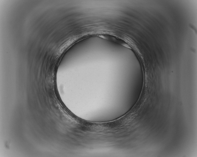 X0000099930389200806131407