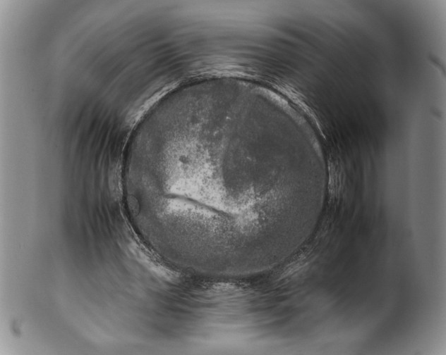 X0000099930390200806131407