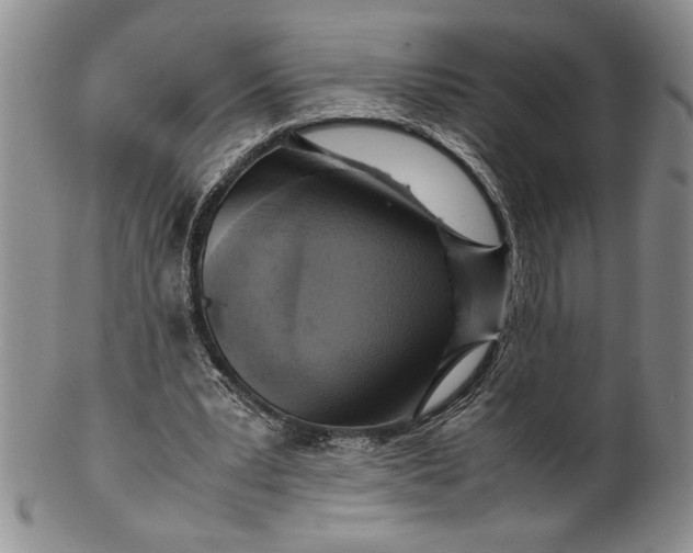 X0000099930391200806131407