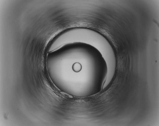 X0000099930392200806131407