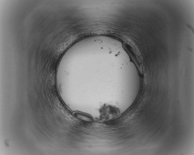 X0000099930393200806131407