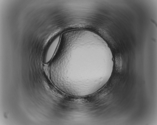 X0000099930396200806131407