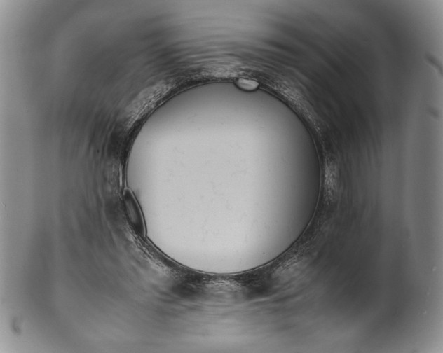 X0000099930397200806131407