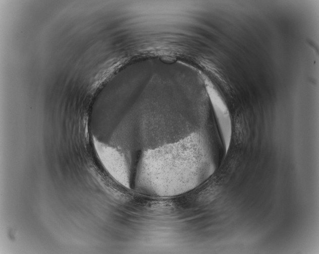 X0000099930398200806131407