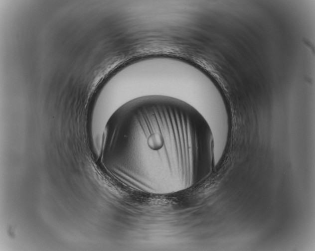 X0000099930399200806131407