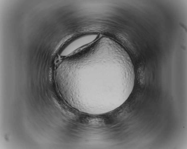 X0000099930400200806131407