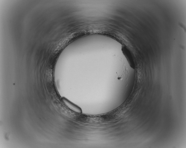 X0000099930401200806131407