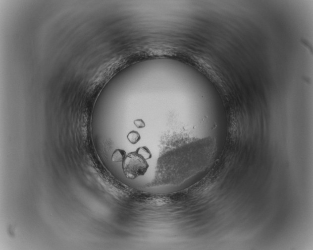 X0000099930402200806131407