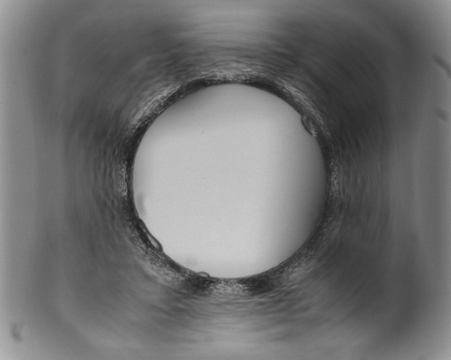 X0000099930403200806131407