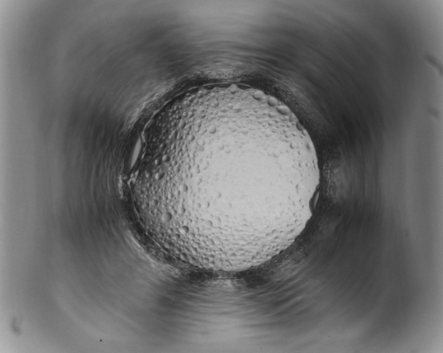 X0000099930404200806131407