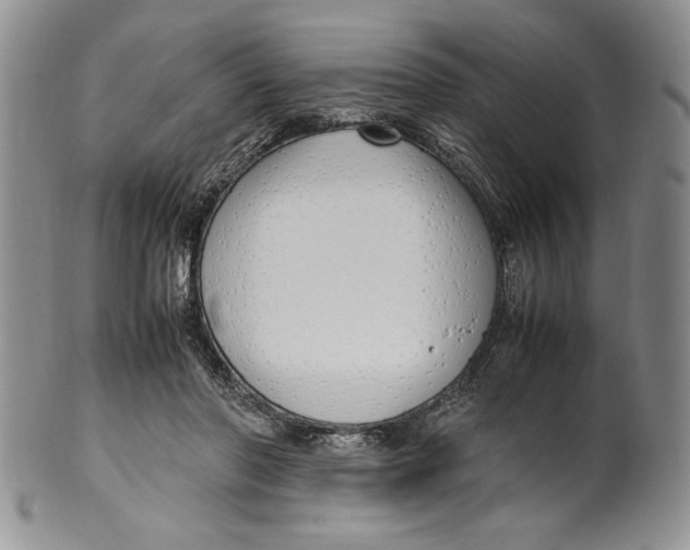 X0000099930406200806131407