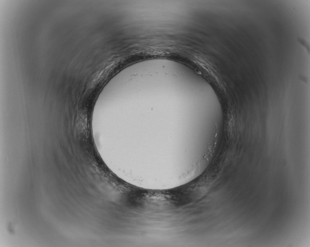 X0000099930407200806131407