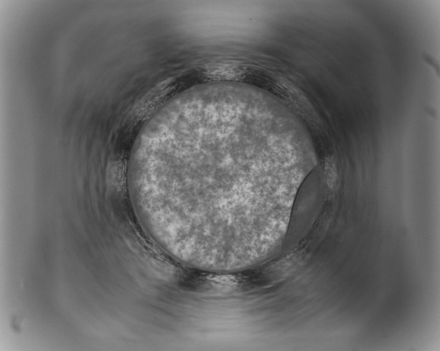 X0000099930409200806131407